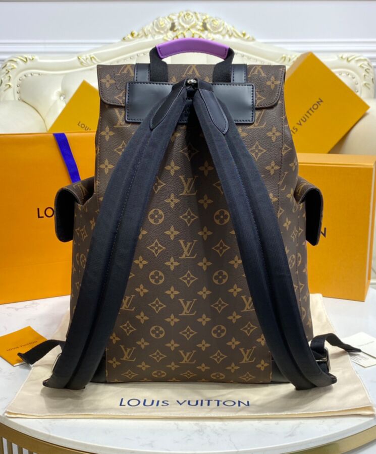Louis Vuitton Christopher MM Monogram Macassar Brown/Purple in