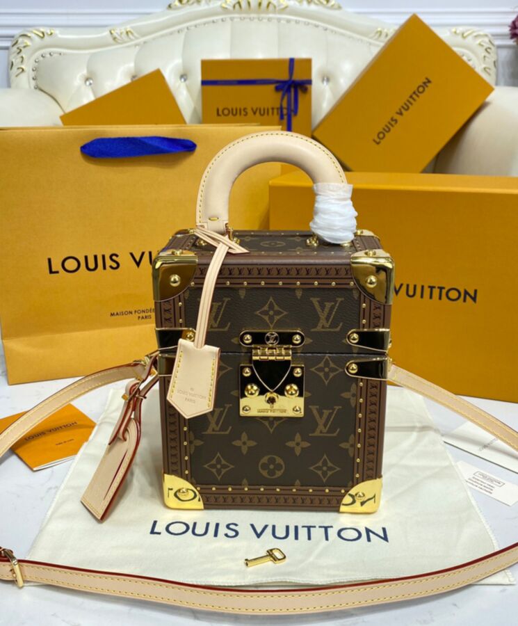 Louis Vuitton Camera Box Trunk Bag Valise Valisette Boite Shoulder Bag  M10079,  in 2023