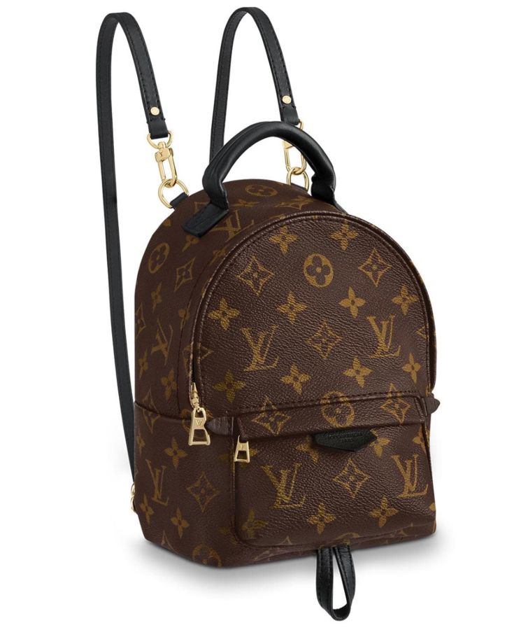 LOUIS VUITTON Backpack Palm Springs Mini Bag M44872 Monogram