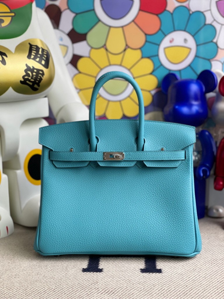 Hermes Birkin 25 Handbag CK18 Etoupe Epsom GHW