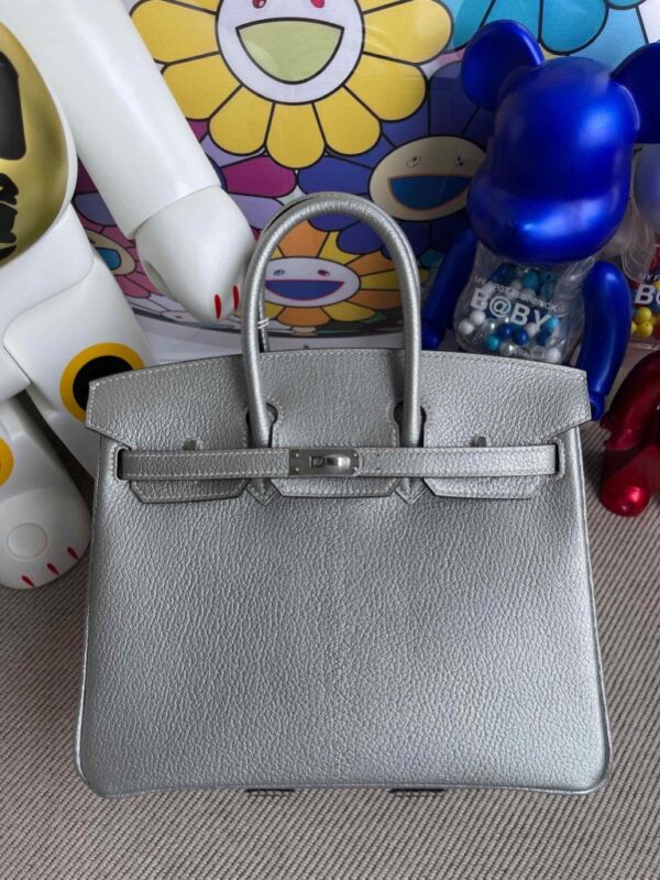 Hermes Birkin 25cm Chevre Silver color Silver Hardware Full Handmade