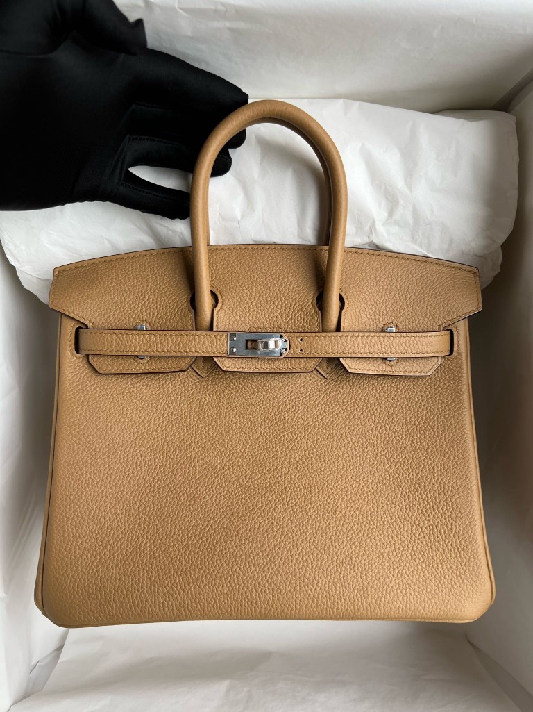 Hermès - Hermès Birkin 25 Togo Leather Handbag-Biscuit Silver Hardward