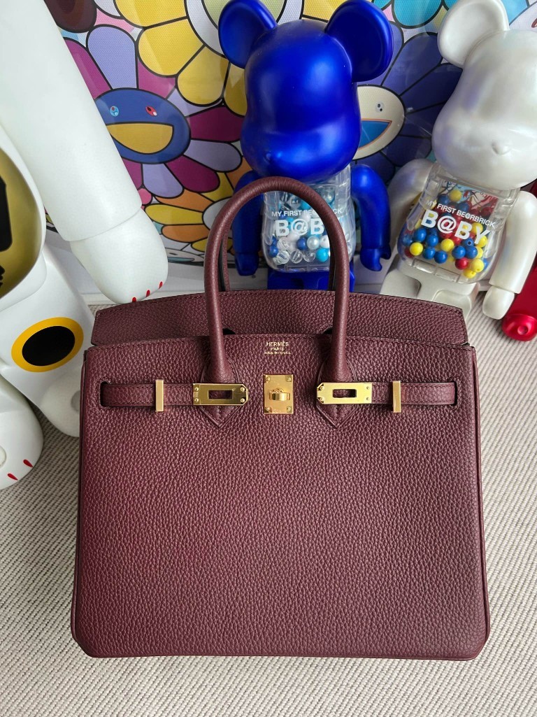 Hermes Birkin 25 Handbag CK55 Rouge H Togo GHW