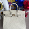 Hermes Birkin 25CM South Africa Klein Karoo Ostrich 3C Parchemin Gold Hardware Full HandMade