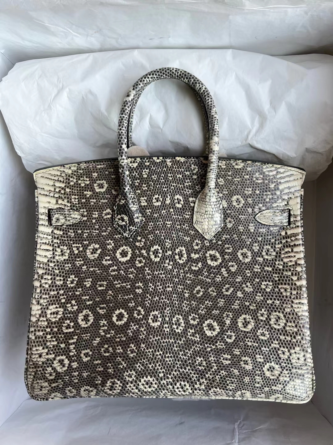 Hermes Birkin Bag 25cm Green Lizard W/Silver Hardware $8700