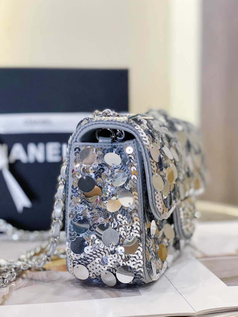 Chanel Double Flap Bag Small Silver - Limited Edition